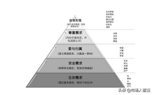 市場策劃人的營銷模型 解析框架化的成功之路